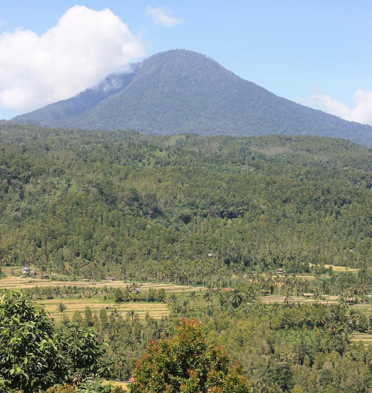 Made Oka Homestay And Warung Munduk  Exterior photo